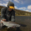 How Water Levels Affect Sea-Run Brown Trout in Río Gallegos